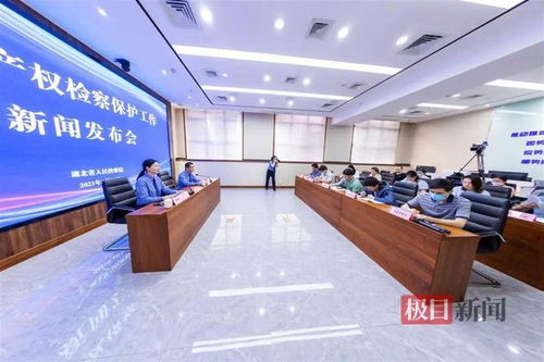 湖北通報知識產權檢察保護典型案例 侵權影片2200余部，8人因從事廣告業務獲刑